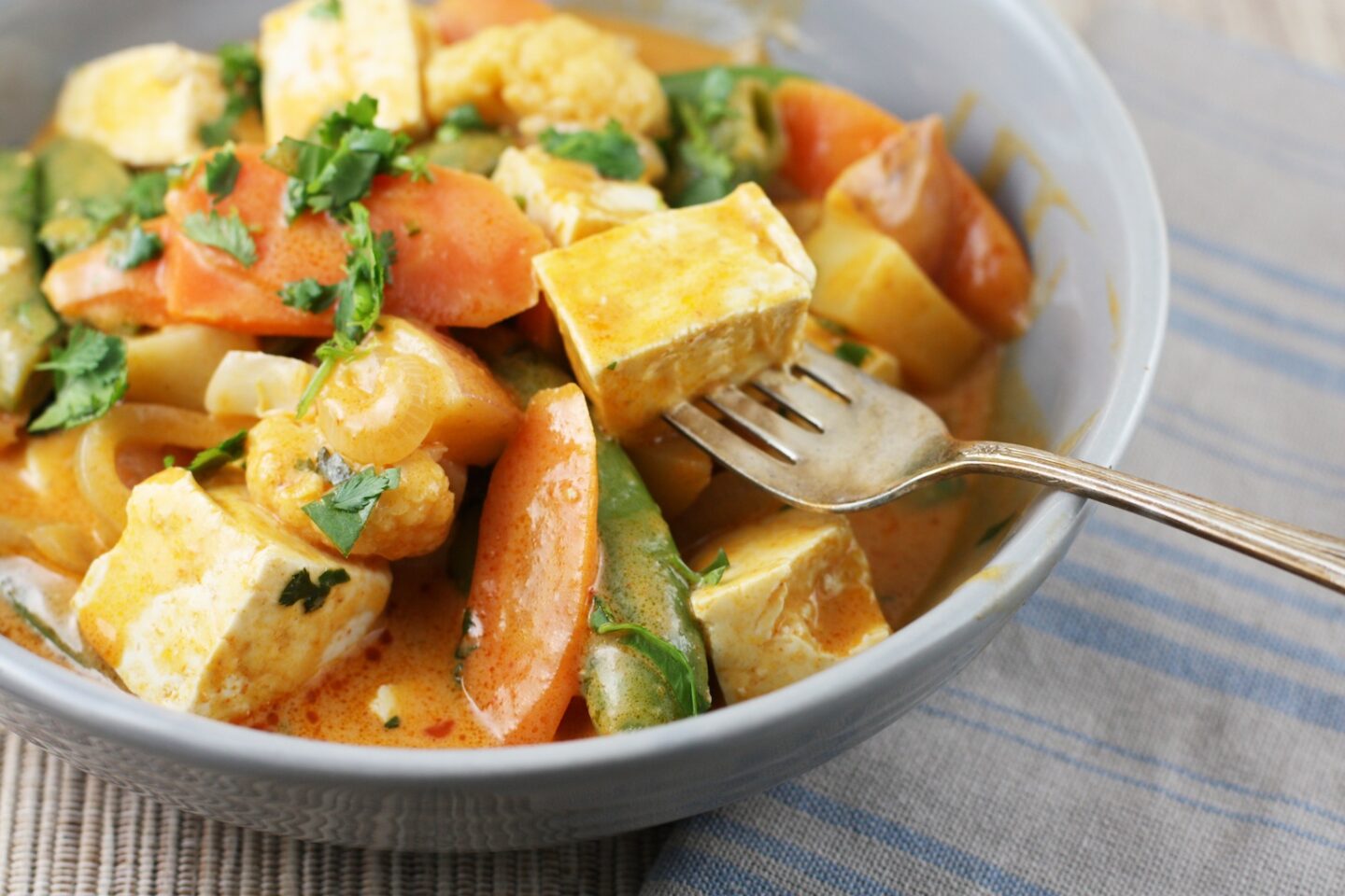 Tofu + Vegetable Curry
